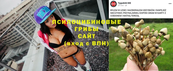 винт Богородицк