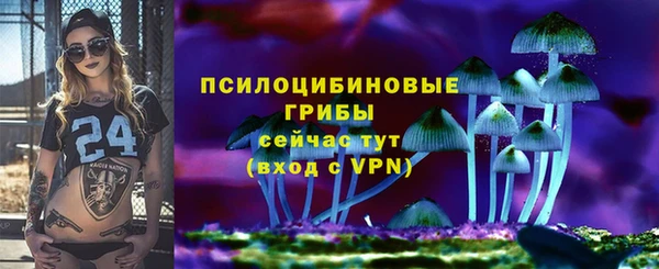 тгк Беломорск